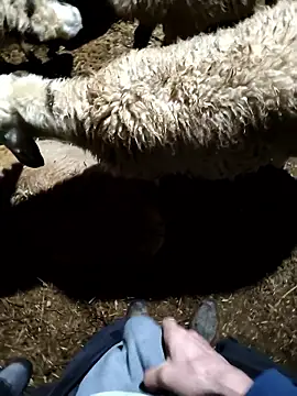 Snapshot of murokkk31 chatting on January 9, 2026, 11:33 pm murokkk31 online show from January 9, 2026, 11:33 pm