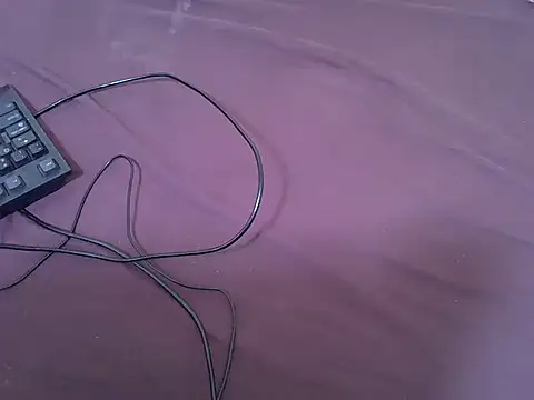 tasty piee online show from February 13, 2026, 1:33 pm