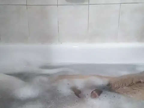 Snapshot of 69LanceRomance69 chatting on February 27, 2026, 9:20 am 69LanceRomance69 online show from February 27, 2026, 9:20 am