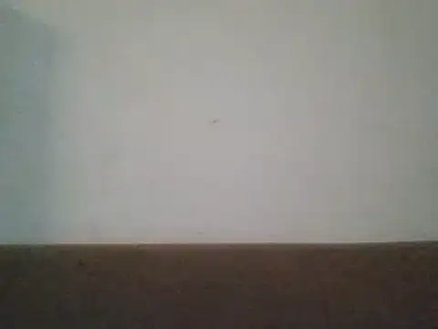 SmallGoodNutts online show from February 3, 2025, 7:40 am