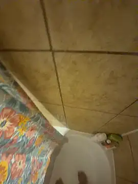 alxcol online show from December 3, 2025, 4:46 am