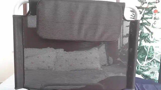 shimoona online show from December 17, 2025, 4:39 am