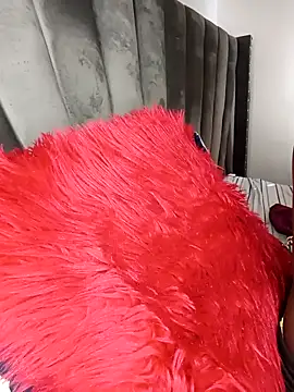 Golden diver online show from November 5, 2025, 6:27 am