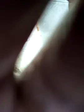 Gautami-telugu online show from November 6, 2025, 8:40 am