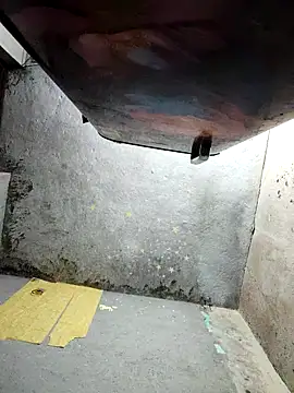 Gautami-telugu online show from October 16, 2025, 8:50 pm