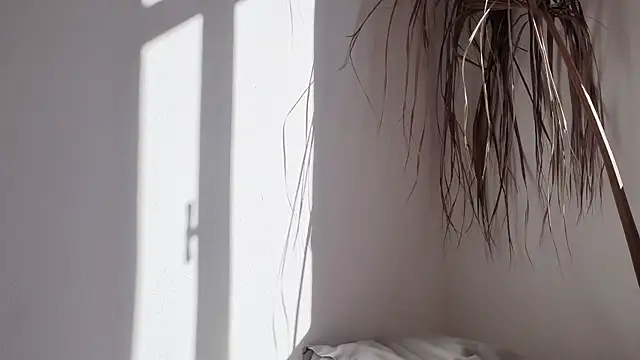 my lina online show from October 17, 2025, 6:28 am