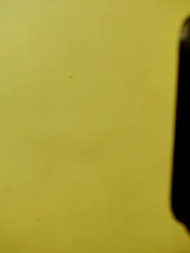 sexy-mohini online show from December 19, 2025, 1:53 am