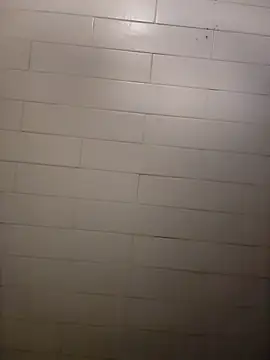 Snapshot of Wildherb244 chatting on December 21, 2024, 2:26 pm Wildherb244 online show from December 21, 2024, 2:26 pm