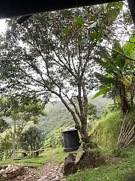 FlpGmz online show from March 22, 2026, 10:55 pm