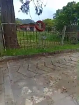 Cuervo maniaco online show from December 17, 2025, 4:23 pm