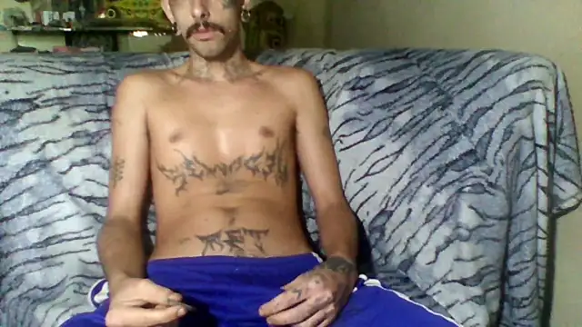 sellvageria online show from February 8, 2026, 1:09 pm