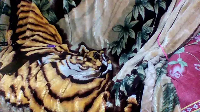 sellvageria online show from October 12, 2025, 2:57 am