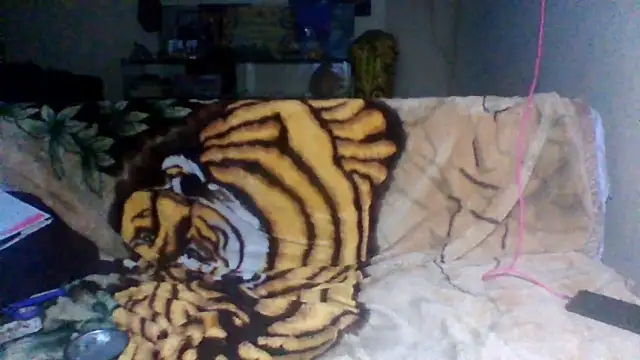 sellvageria online show from November 30, 2025, 12:44 am