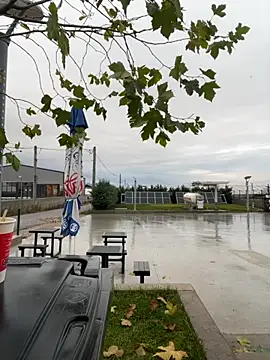 baramadalin online show from December 1, 2025, 5:52 am