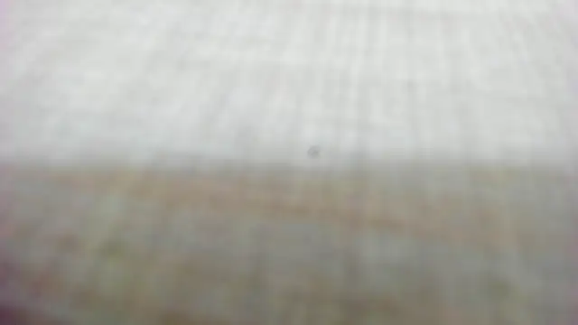 AishaRouhi online show from February 14, 2026, 5:29 am