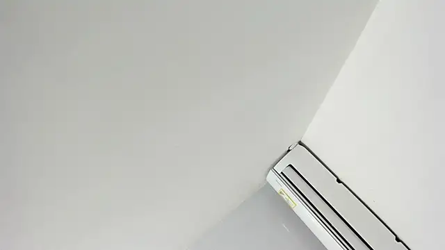 Dei v 48 online show from February 1, 2025, 3:41 am