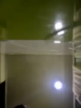 Emiily lee online show from April 14, 2026, 9:25 am