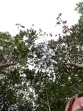 Sofia xx2 online show from February 2, 2025, 9:18 am