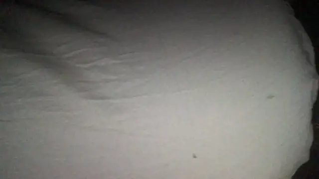 loveofbea online show from September 11, 2025, 12:49 pm