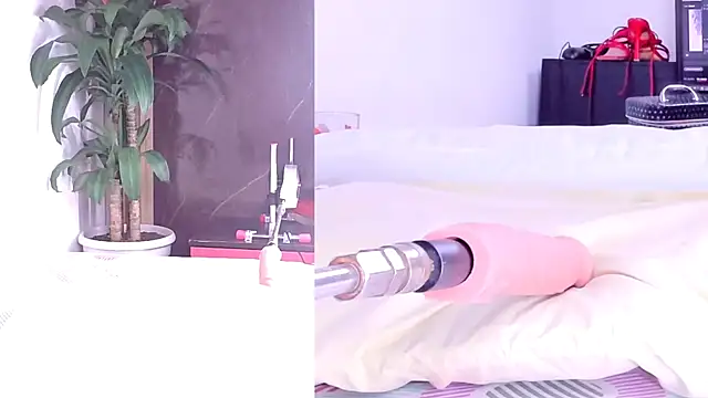 Snapshot of Sophia_Lovers01 chatting on March 2, 2026, 8:38 pm Sophia Lovers01 online show from March 2, 2026, 8:38 pm