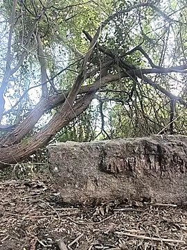 Snapshot of Telugubigcock57 chatting on January 18, 2026, 10:29 am Telugubigcock57 online show from January 18, 2026, 10:29 am