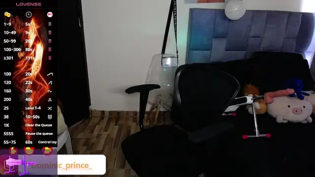 Snapshot of DominicPrince chatting on November 24, 2025, 7:03 pm DominicPrince online show from November 24, 2025, 7:03 pm