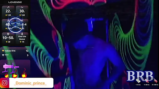 DominicPrince online show from January 13, 2026, 4:11 pm