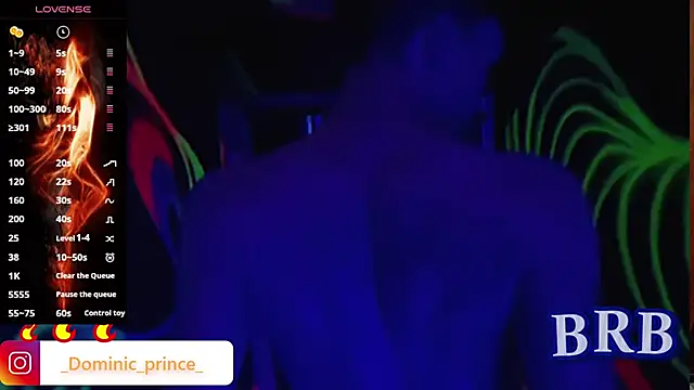 Snapshot of DominicPrince chatting on November 15, 2025, 3:21 am DominicPrince online show from November 15, 2025, 3:21 am