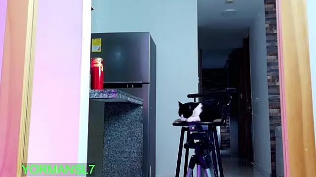 zaiin diesel online show from November 26, 2025, 11:43 am