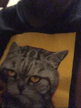 Jasontv56 online show from December 17, 2025, 2:05 am