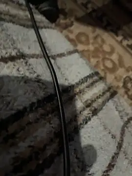 BringBackLostLover online show from December 1, 2025, 10:10 pm