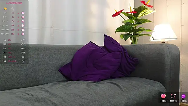 xteddy bear online show from February 26, 2025, 8:36 pm