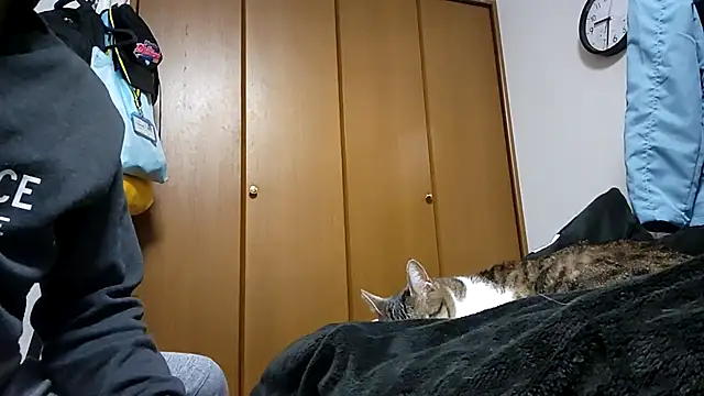 Snapshot of 07YUKIO chatting on April 4, 2026, 12:34 pm 07YUKIO online show from April 4, 2026, 12:34 pm