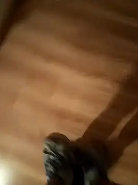 pana1978loco online show from November 29, 2025, 6:57 am