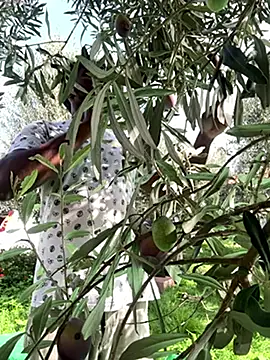 modelloblack online show from November 17, 2025, 10:52 am