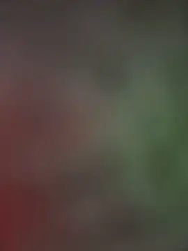 palomamoraid online show from January 13, 2025, 4:51 pm