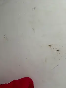 palomamoraid online show from February 17, 2025, 10:27 pm