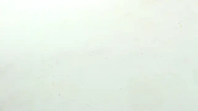 Snapshot of sinay024 chatting on February 27, 2026, 8:03 am sinay024 online show from February 27, 2026, 8:03 am