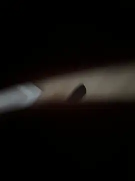 XMenX24 online show from December 21, 2024, 11:44 am