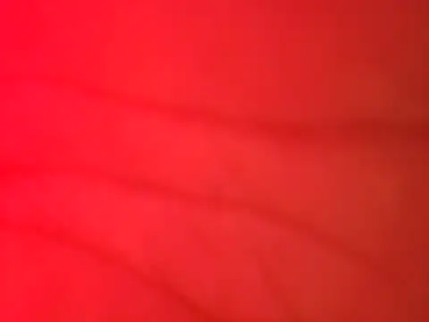 jorwee online show from February 15, 2025, 4:36 am