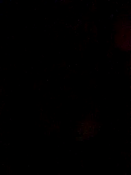 Snapshot of Lamborghiniasia chatting on October 17, 2025, 12:36 am Lamborghiniasia online show from October 17, 2025, 12:36 am