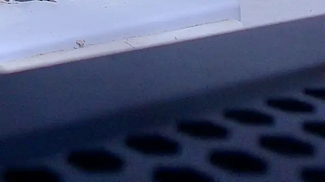 anisha x online show from October 9, 2025, 7:14 pm