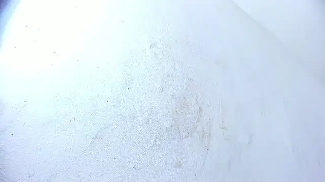 brant garciabbc online show from February 1, 2025, 10:01 pm