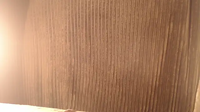 1BECHA1 online show from November 12, 2025, 5:11 am