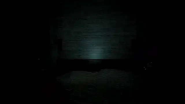 Snapshot of Chris_Brunnet chatting on February 5, 2026, 2:13 pm Chris Brunnet online show from February 5, 2026, 2:13 pm