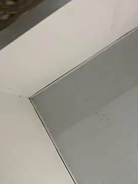 Vih222 online show from January 4, 2025, 2:56 am