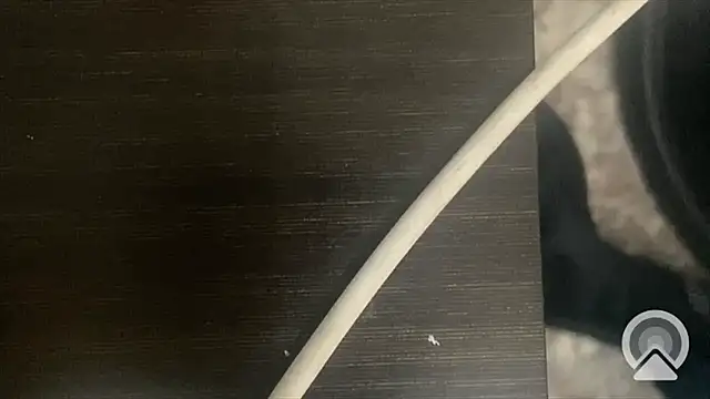 Snapshot of shuai321 chatting on February 13, 2025, 7:56 am shuai321 online show from February 13, 2025, 7:56 am