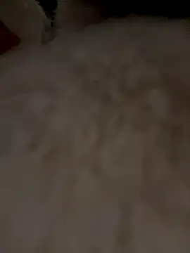 zendaya wilson online show from September 26, 2025, 3:46 am