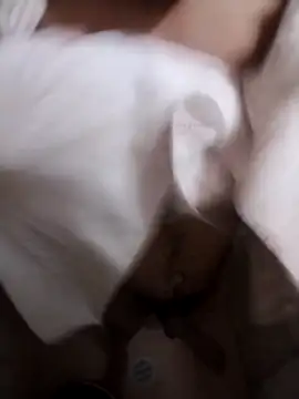 Snapshot of Professor_Leo_ chatting on February 2, 2026, 2:54 am Professor Leo online show from February 2, 2026, 2:54 am