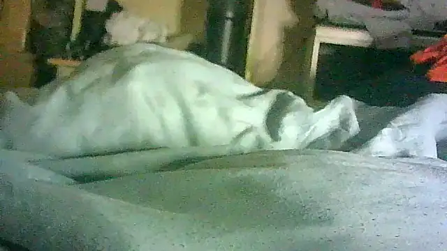 Snapshot of DI4MOND_FIR3 chatting on June 30, 2026, 10:37 am DI4MOND FIR3 online show from June 30, 2026, 10:37 am
